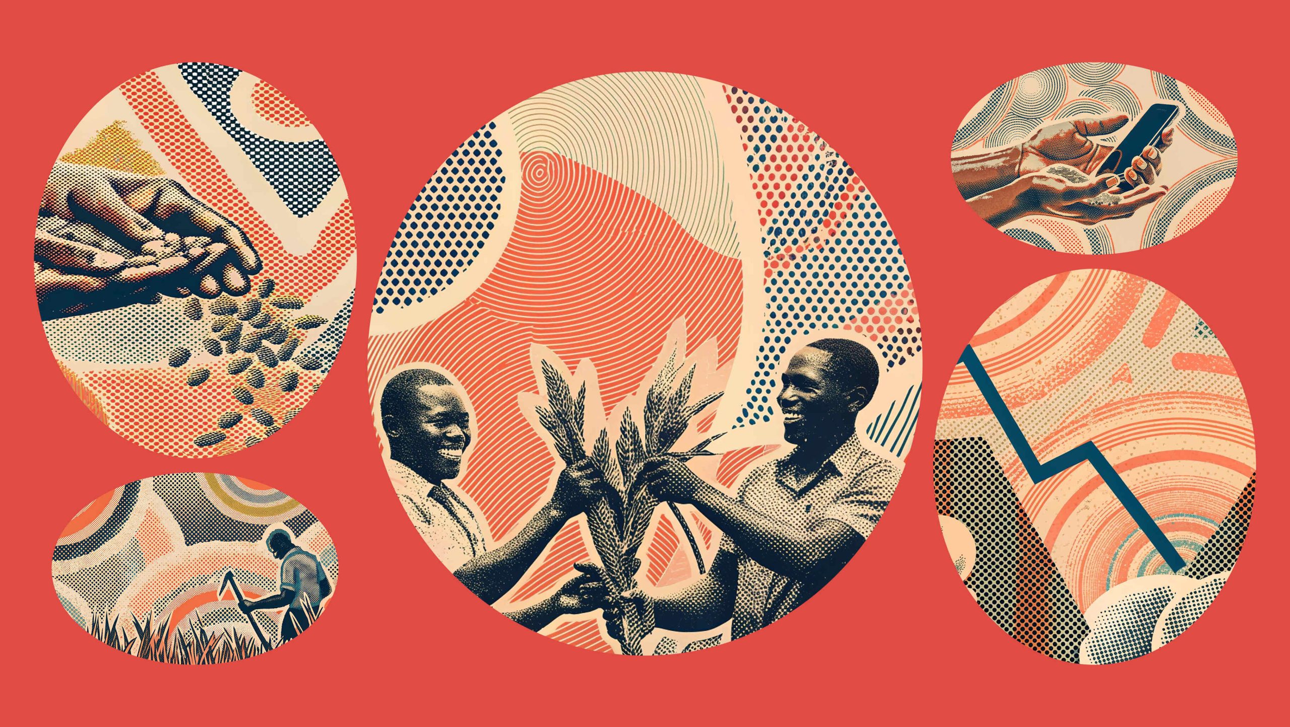 Africa's Agritech Crash Is Teaching Farmers How to Build What Lasts