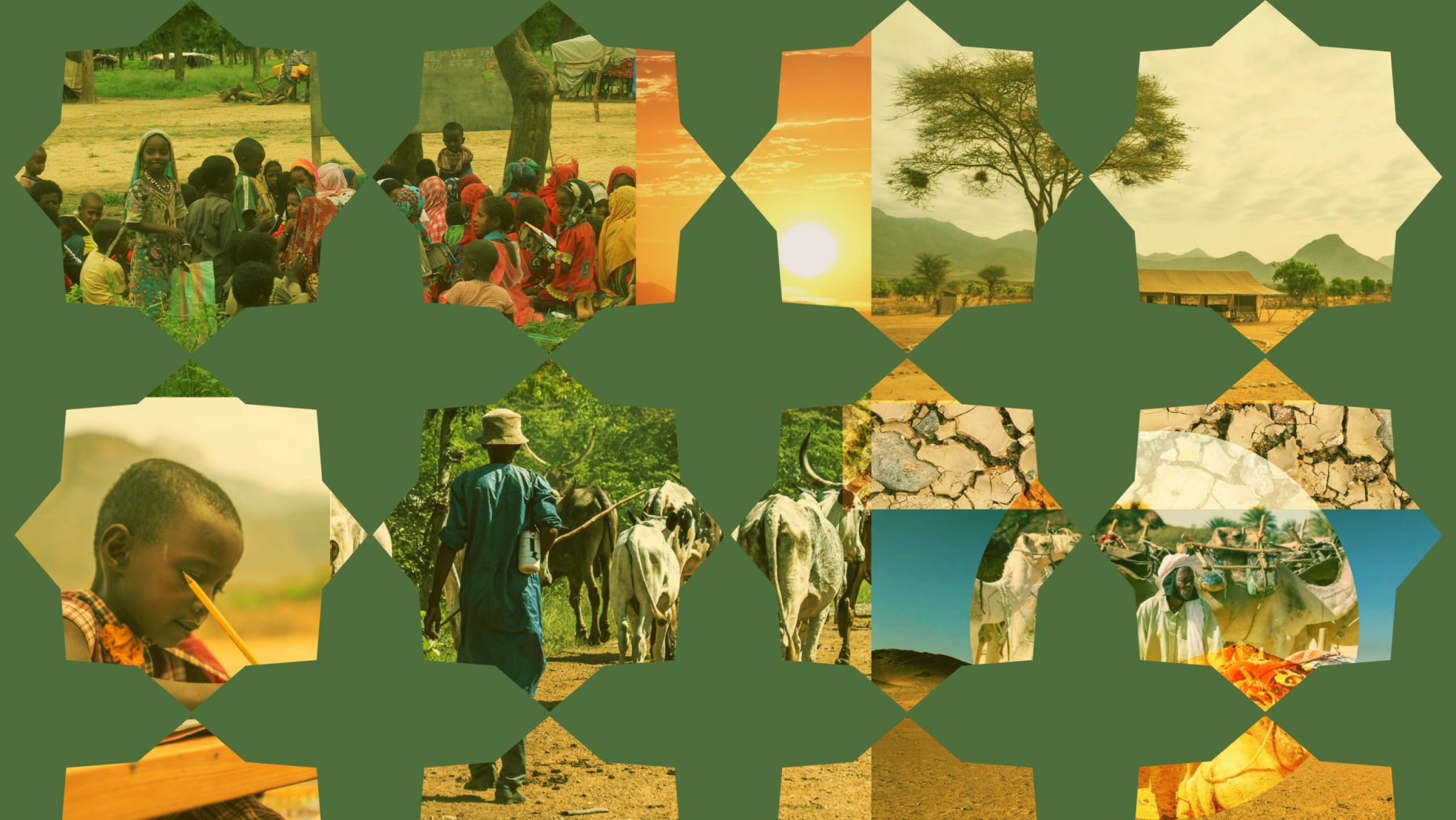 Can Nomadic Schools Help Solve the Climate Crisis?